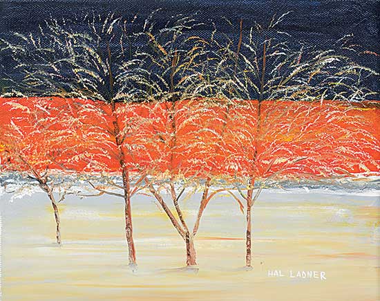 #74 ~ Ladner - Hoar Frost