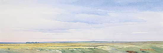 #110 ~ Nickol - Late Afternoon Light