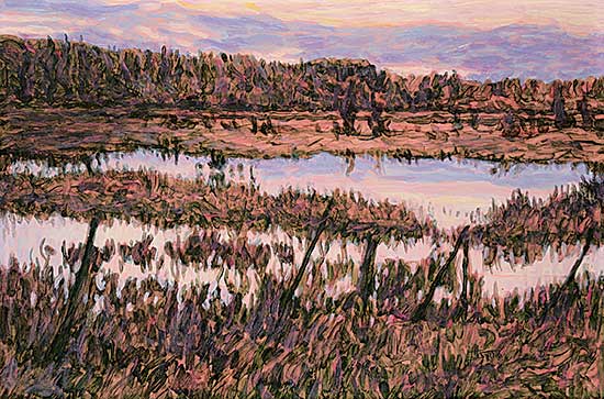 #211 ~ Sellin - Pink Sundown, Millarville