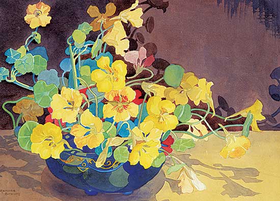 #10 ~ Brown - Nasturtium