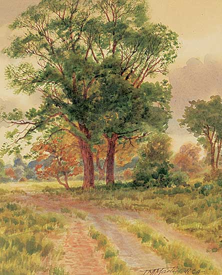 #75 ~ Martin - Two Trees