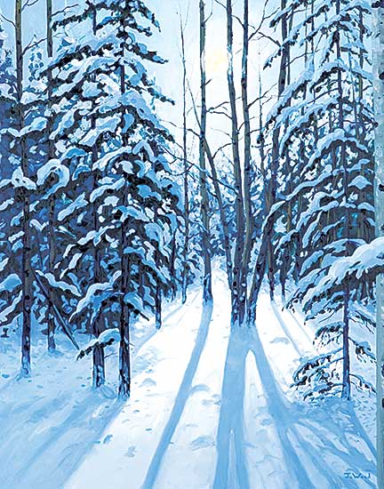 #108.1 ~ Wood - Snow Shadows