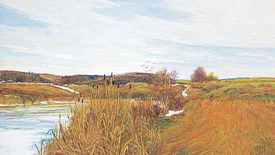 #402 ~ Acs - Cattails Near a Slough [Alta.]