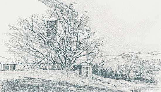 #408 ~ Cox - Honeysuckle