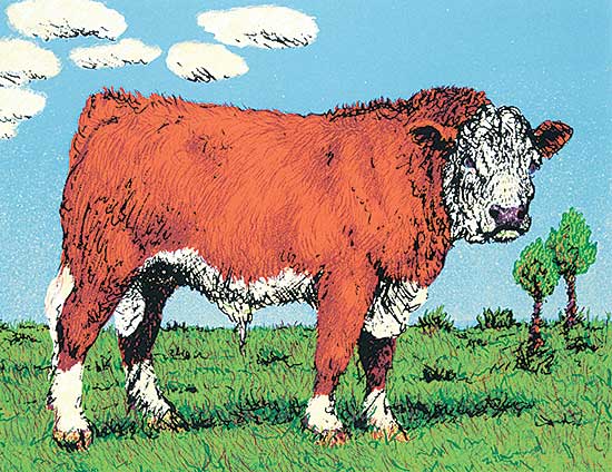 #414 ~ Fafard - Sonny  #A/P