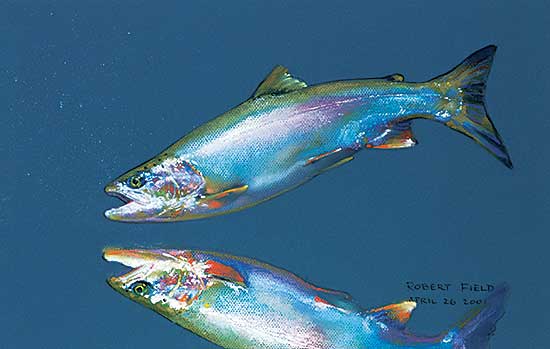 #416 ~ Field - Untitled - Reflection