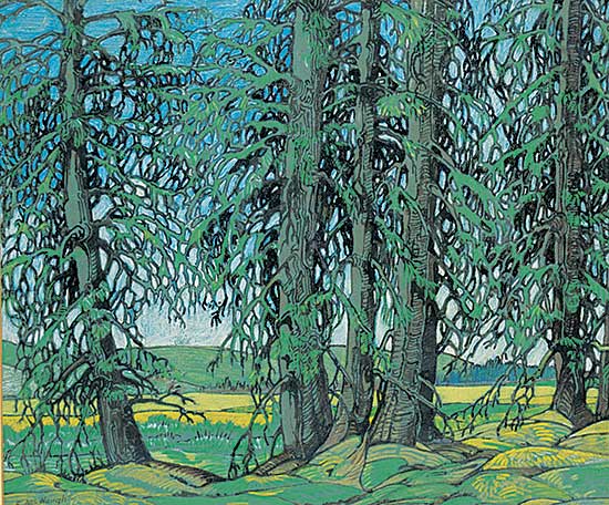 #434.1 ~ McNaught - Porcupine River Meadows