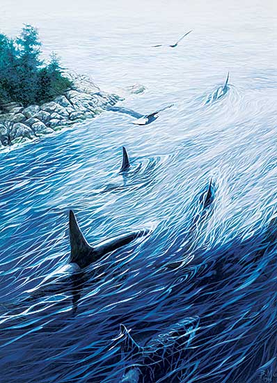 #436 ~ Muir - Gull's View