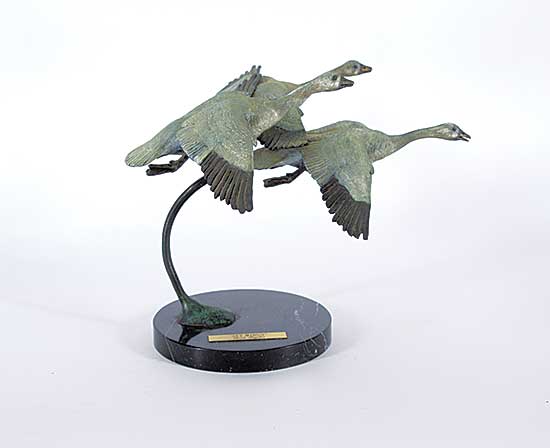 #455 ~ Taylor - Set Wings  #12/50