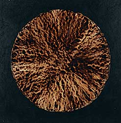 #218 ~ McKay - Untitled - Brown Mandala on Black