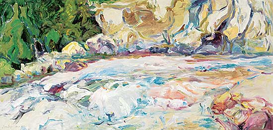 #1032 ~ Cook - Ram River Falls