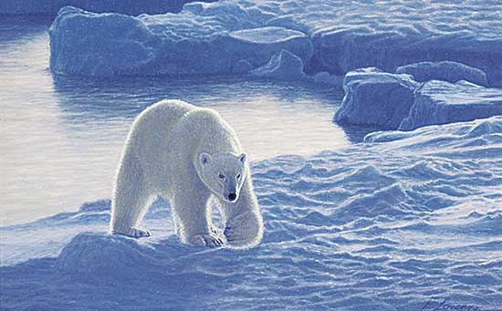 #1067 ~ Fracchetti - Stalking for Seals