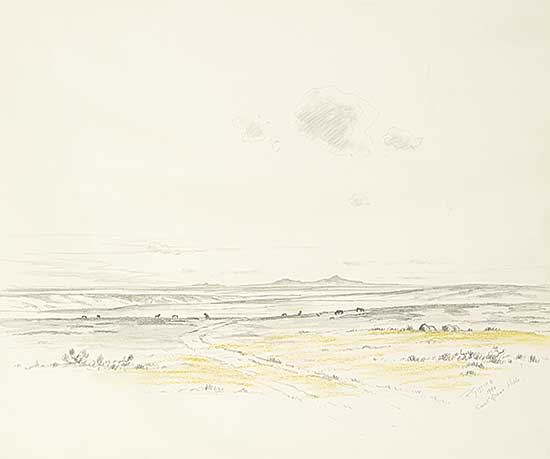 #1072 ~ Gissing - Sweetgrass Yellow Sketch