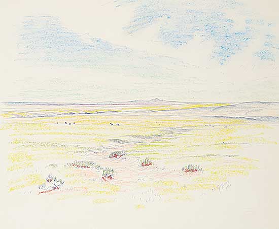 #1073 ~ Gissing - Sweetgrass Colour Sketch