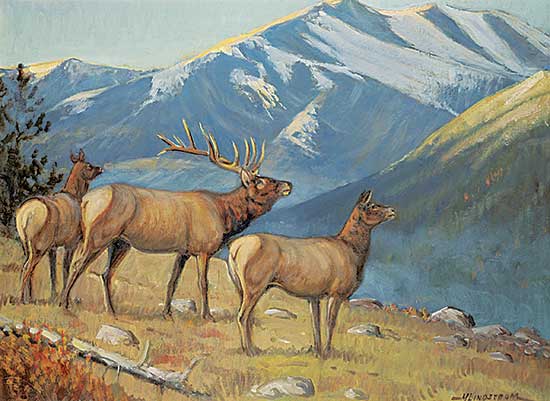 #1160 ~ Lindstrom - Untitled - Elk Sensing Danger