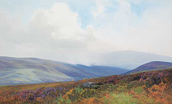 #1296 ~ Widgery - Dunkery Beacon, Exmoor