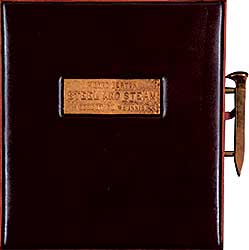 #1589 ~ McInnis - Steel and Steam  #11/100