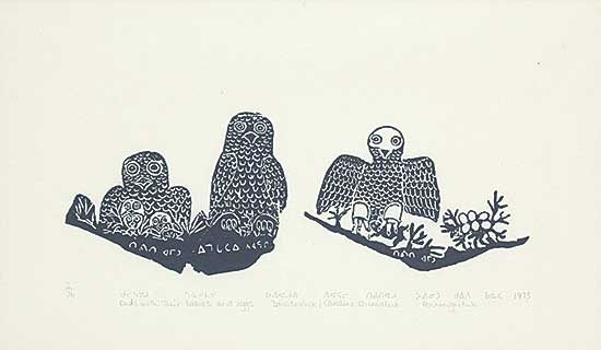 #38 ~ Amittu - Owls with their Babies and Eggs  #2/36
