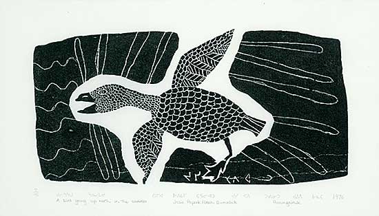 #103 ~ Papialuk - A Bird Going up North in the Summer #7/45
