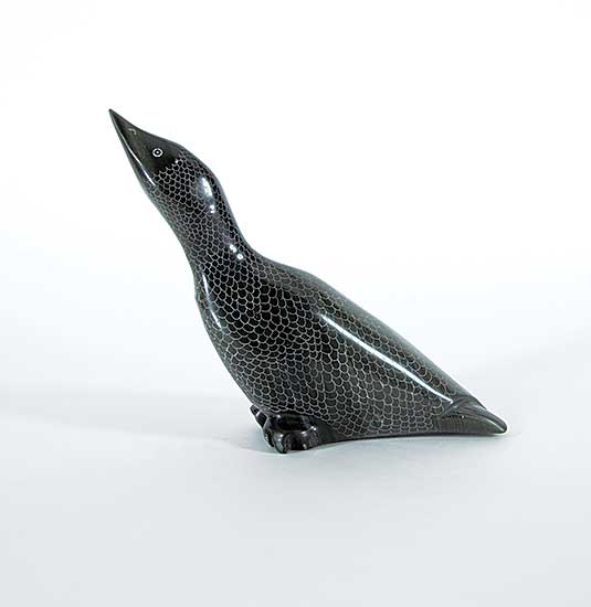 #115 ~ Sala - Untitled - Beautiful Bird
