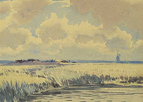 #54 ~ Leighton - Draining Mill, Norfolk