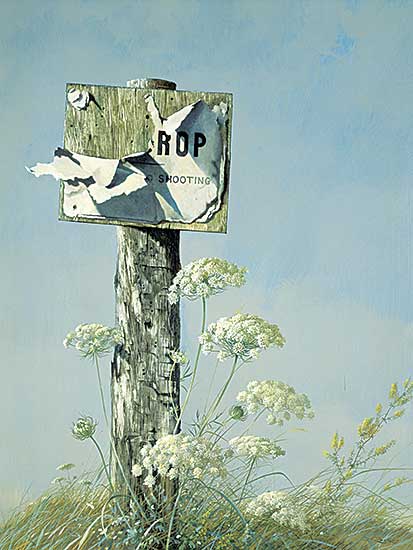 #84 ~ Rock - Queen Anne's Lace