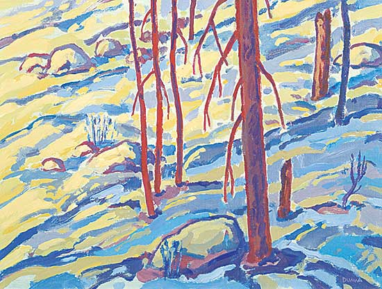 #421 ~ Duma - Hillside, Winter