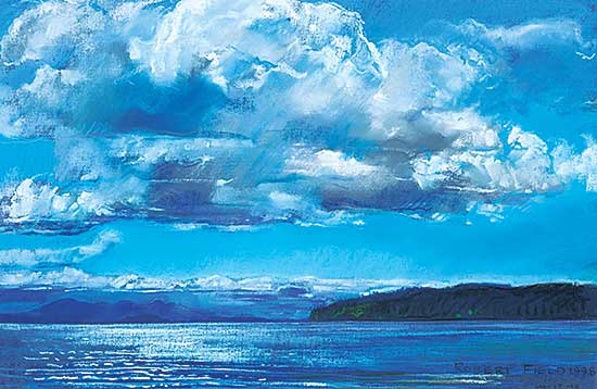 #425 ~ Field - Untitled - Johnstone Strait