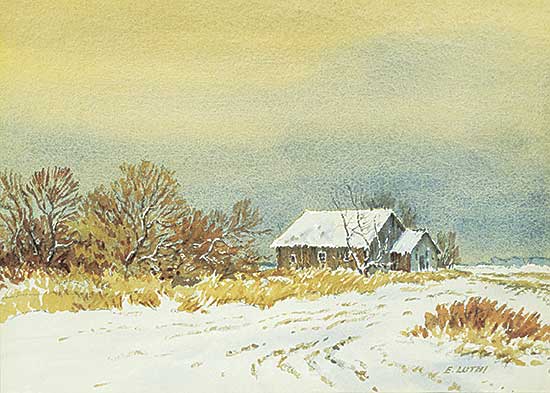 #443 ~ Luthi - An Old Building N.E. of Wynyard