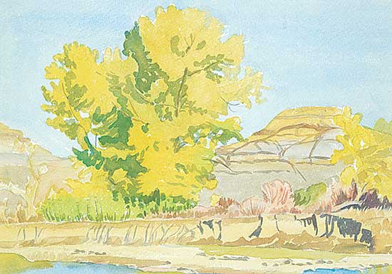 #466 ~ Shelton - Untitled - Drumheller Valley