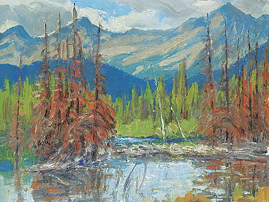 #477 ~ Turner - Junction of Elbow and Little Elbow River
