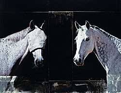 #233 ~ Petterson - Dyad #233 ~ Petterson - Dyad