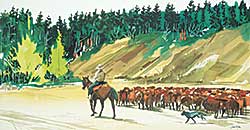 #430 ~ Hambleton - Untitled - Riding the Herd