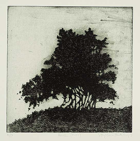 #1128 ~ Hutchings - Bush [4-22]  #A/P