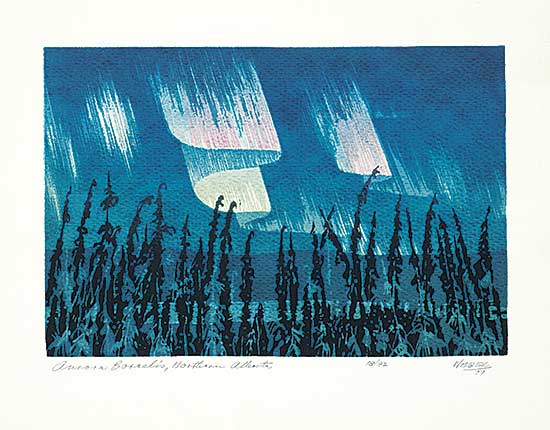 #1308 ~ Weber - Aurora Borealis, Northern Alberta  #18/92