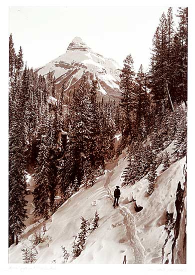#1347 ~ Harmon - Johnston Canyon and Pilot Mountain #14/100