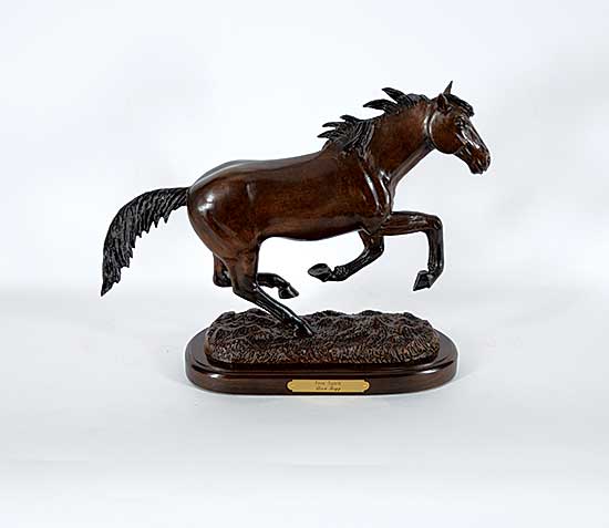 #1401 ~ Begg - Free Spirit  #29/100