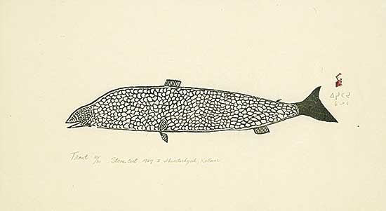 #1626 ~ Iksiktaaryuk - Trout  #30/30