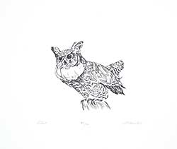 #1444 ~ Houston - Owl  #74/150