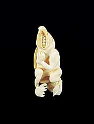#1707 ~ Inuit - Untitled - Transforming Figure