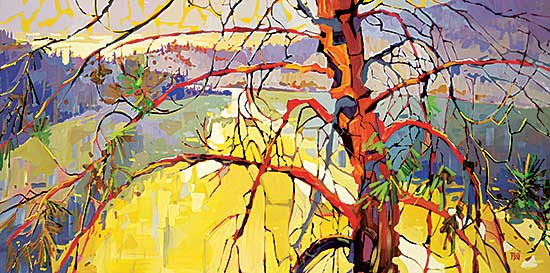 #15 ~ Bond - Branches of Pine