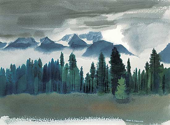 #28 ~ Collier - Rainy Day, Kootenay Nat. Park, B.C.