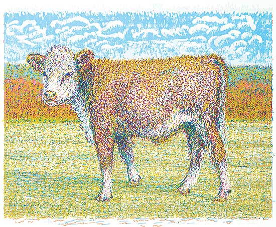 #38 ~ Fafard - Calf Monet  #35/60