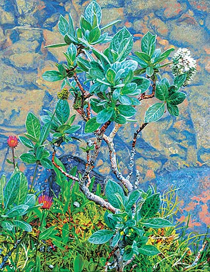 #41 ~ Foo Fat - Untitled - Silver Willow with Asters