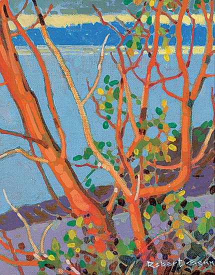 #44 ~ Genn - Arbutus at Salt Spring