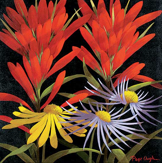#89 ~ Ough - Alpine Wild