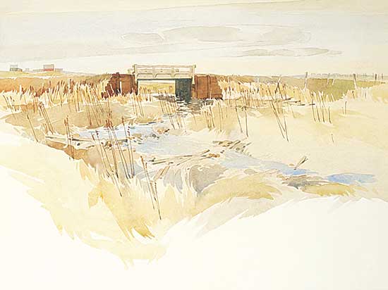 #462 ~ Lindoe - Early Spring and Bridge