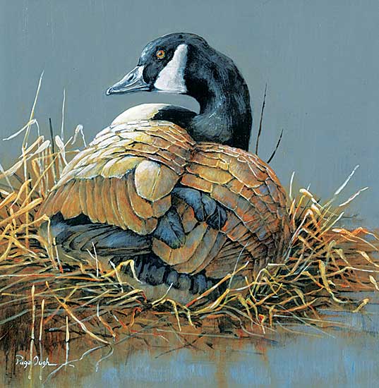 #482 ~ Ough - Patience - Canada Goose