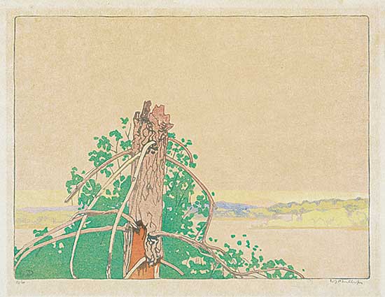 #489 ~ Phillips - The Stump  #106