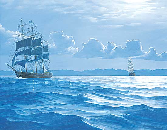 #497 ~ Raftery - Moonlight off Cebu